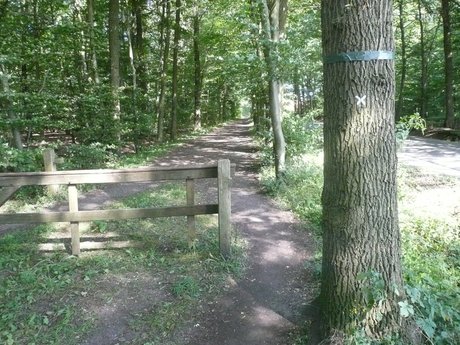 Baumberge Darup