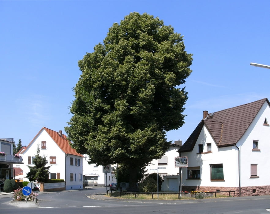 Petterweil-Massenheim-Bad Vilbel-Berkersheim-Harheim-Nieder-Obereschbach-Petterweil