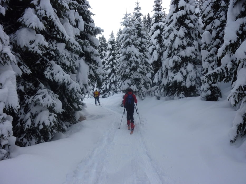 Schneeschuhtour - Fleckner 2331m - Südtirol