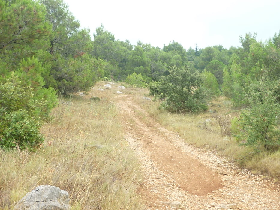 Salles ´D Aude
