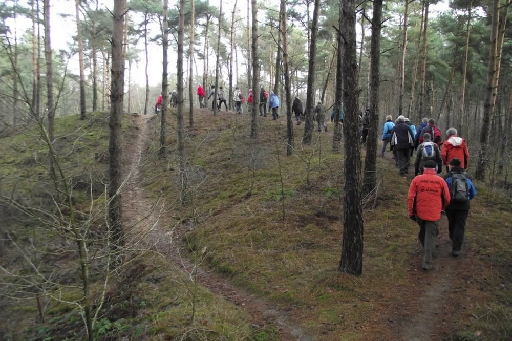 Rondwandeling Heldense bossen - Baarlo