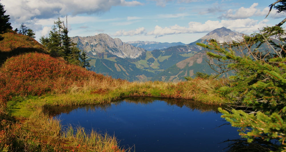 Dürrenschöberl Admont