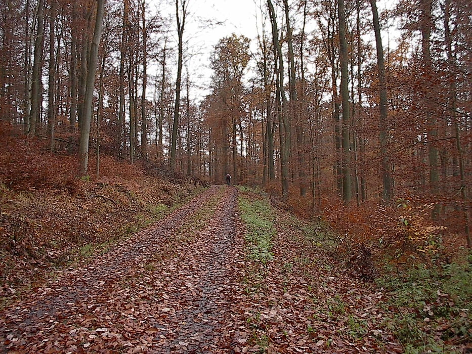 Van de Elbebron naar Selbach