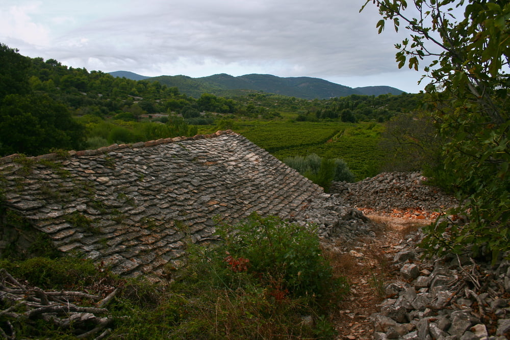 Vis Komiza Vis