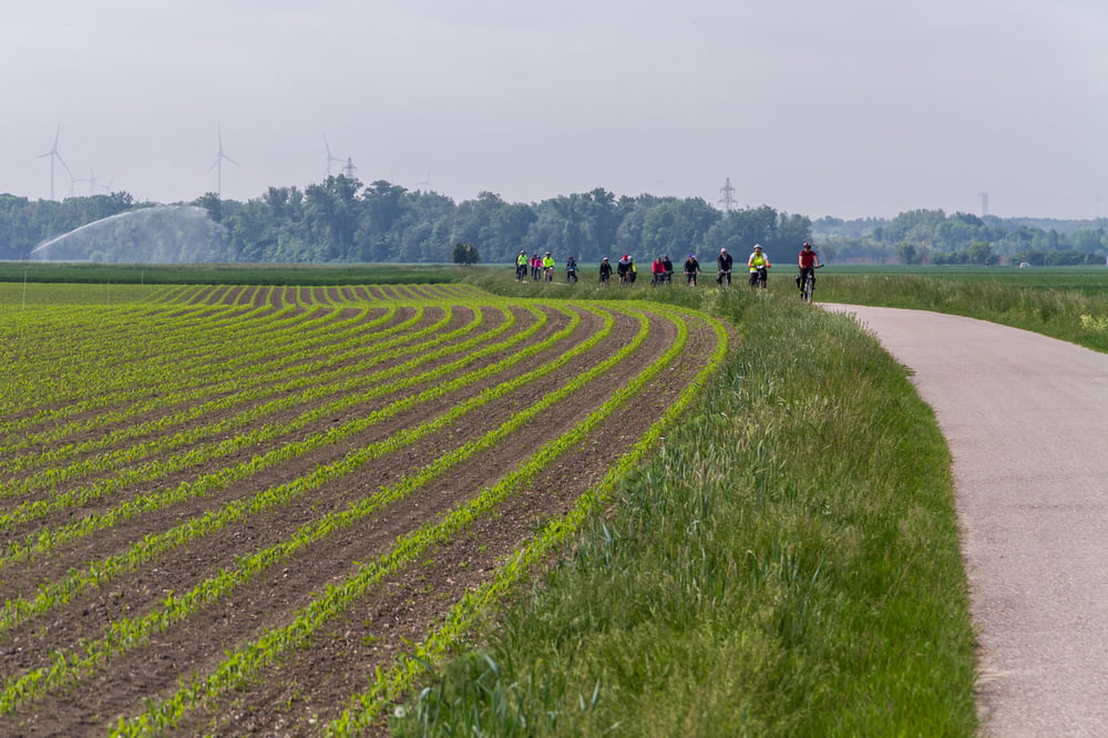 Marchfeldkanal 2015 kerékpártúra