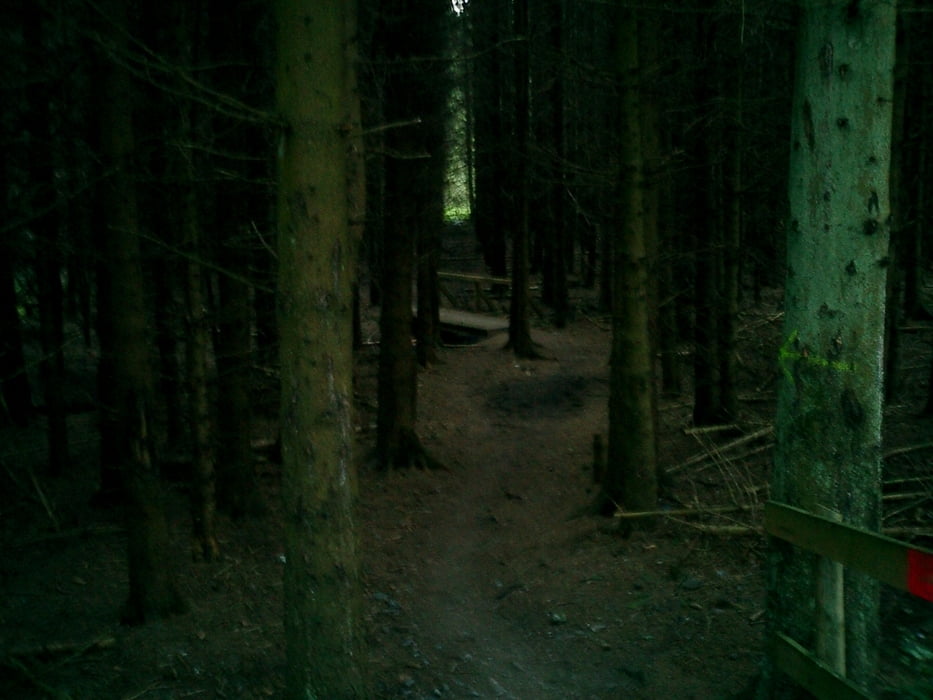SH-Steig