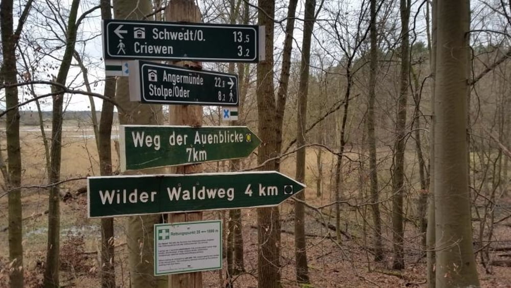 236. Criewen - Nationalpark Unteres Odertal, mit Märkischer Landweg