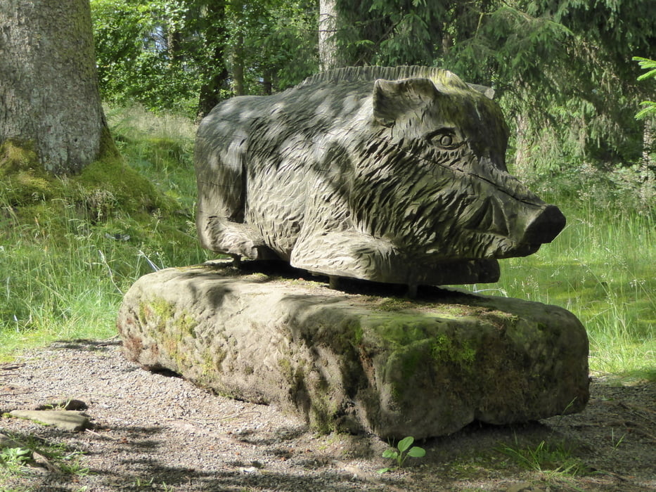 Försterstieg Teil 3 von Bad Grund nach Riefensbeek Kamschlacken
