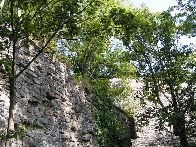 Forts of St-Martin-d'Heres