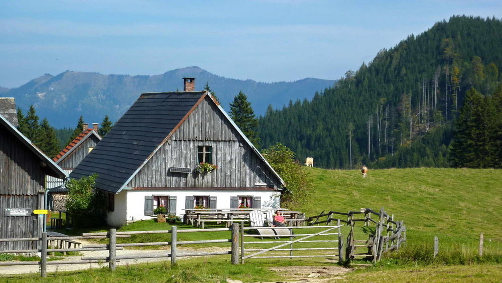 Ebenforstalm