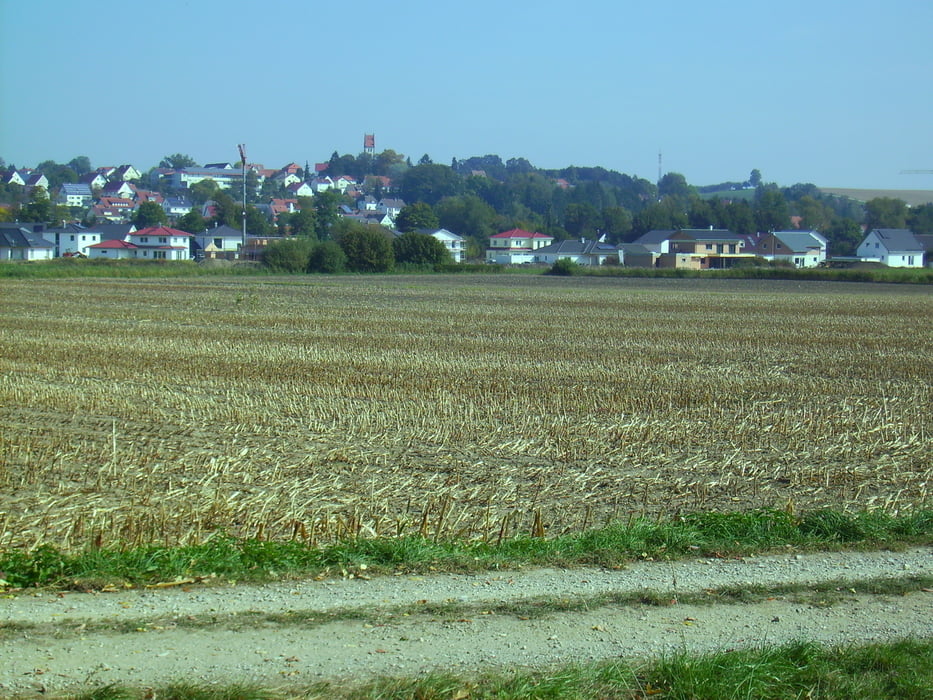 SteinbergHeggbach