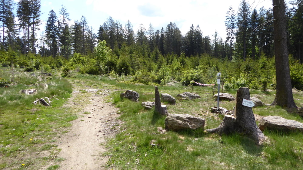 Hansberglandrunde Nord von Rohrbach aus über Naturerlebnisweg Haslach 