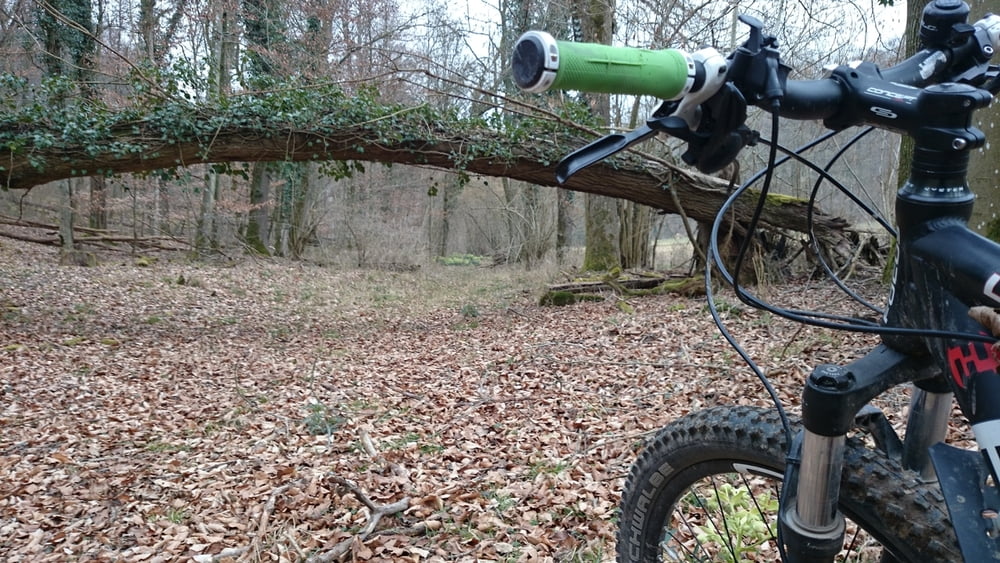Holzfällertour - expedition for some trails