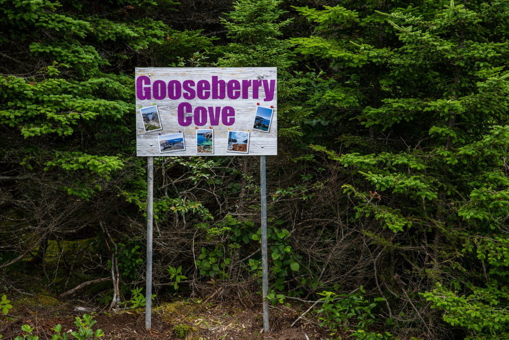 Gooseberry Cove