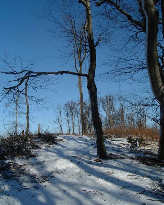 20080203_Pezinská Baba a Čmeľok