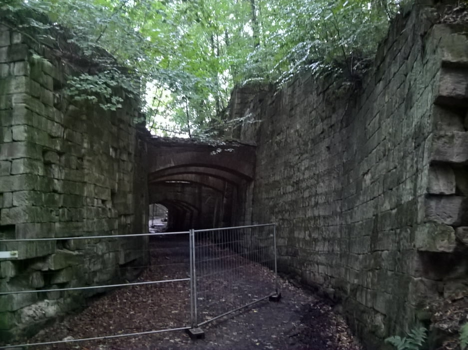 Zeisigwald zwischen Bornen und Steinbrüchen