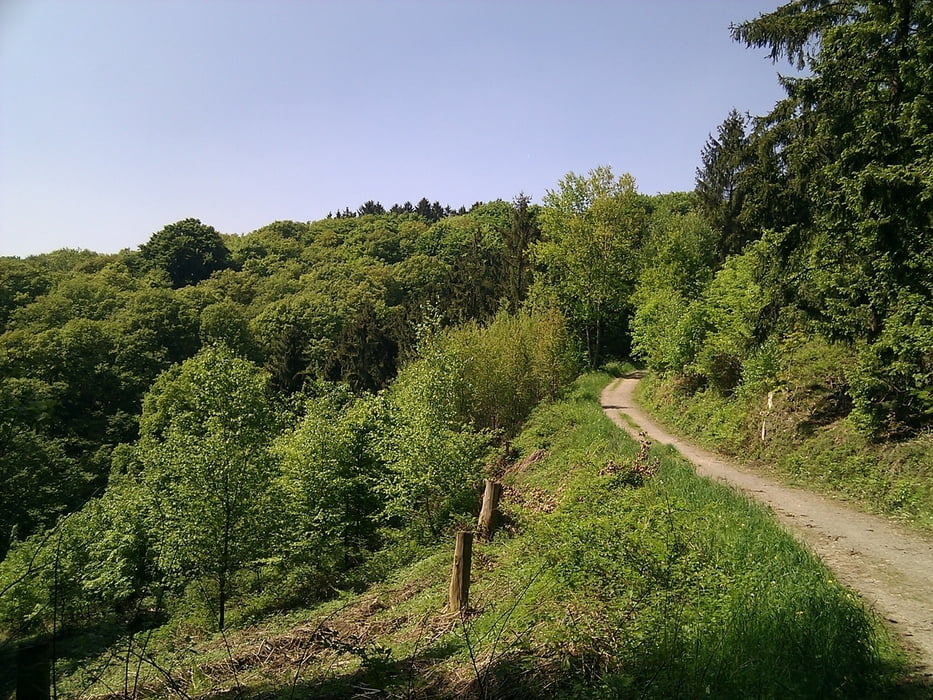 Rund um Sudberg