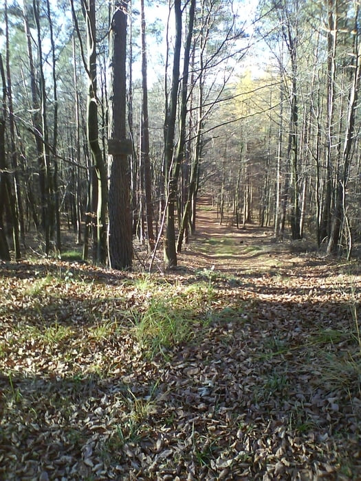 Auf dem Eselsweg und im Kahlgrund
