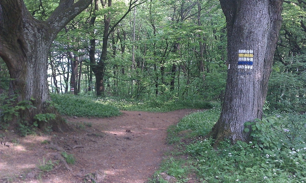Hameau-Tafelberg-Weidling-Wilhelminenberg