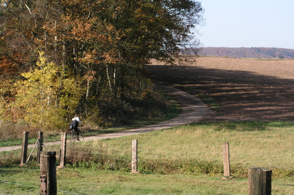 Radweg