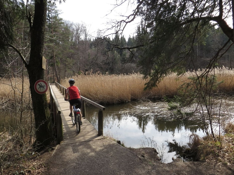 21-Seen-Runde Seeon - Eggstätt