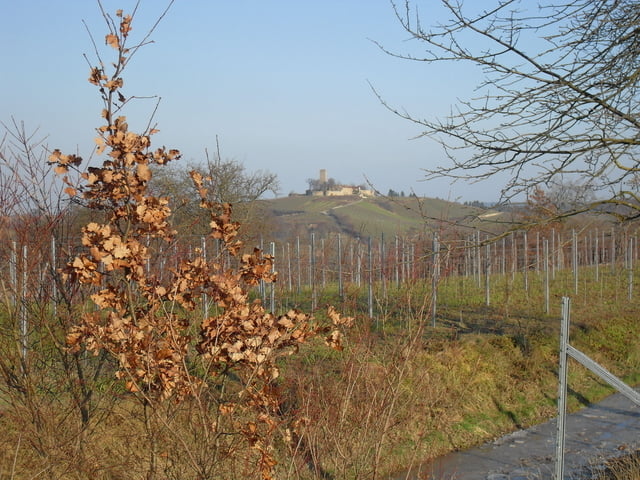 Sulzfelder Panorama Weg