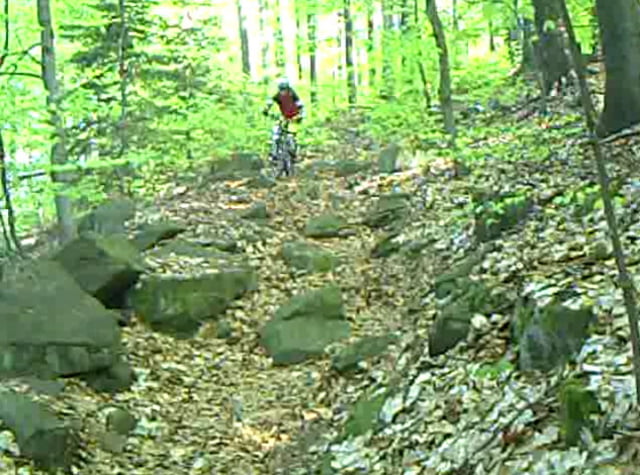 Trailrunde am Valtenberg