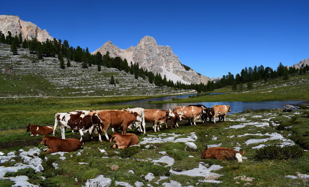 Alpe di Fanes