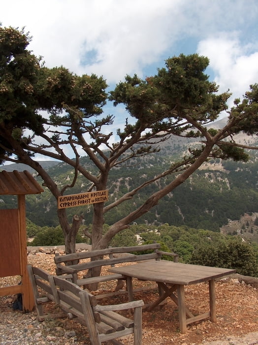 Katharo-Plateau
