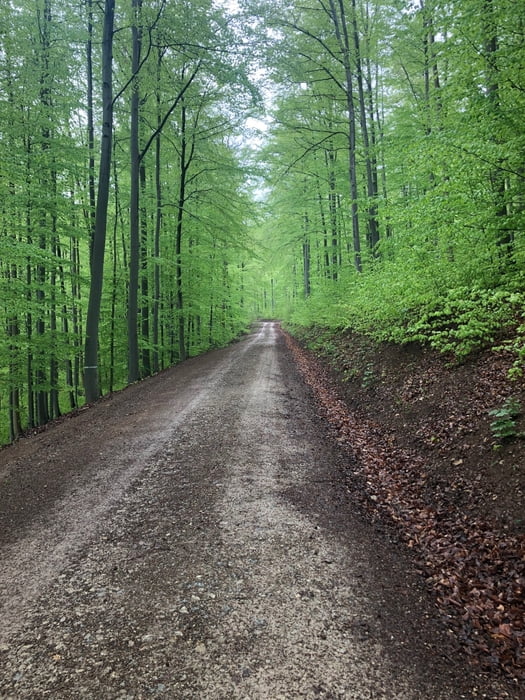 Siegelbach: Reinsberge und Ziegenried