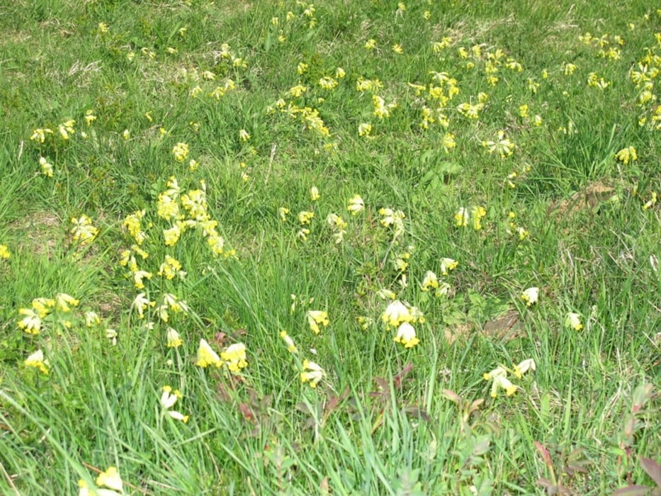 Runde Embken - Berg