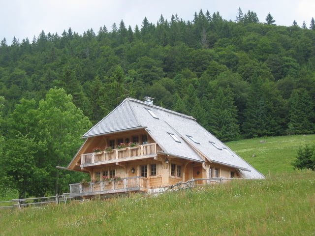 Hinterzarten-Feldberg-Hinterzarten