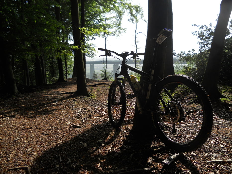 Up and down in Duisburg Town