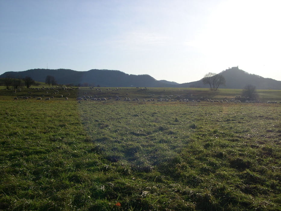 Rund um Hechingen