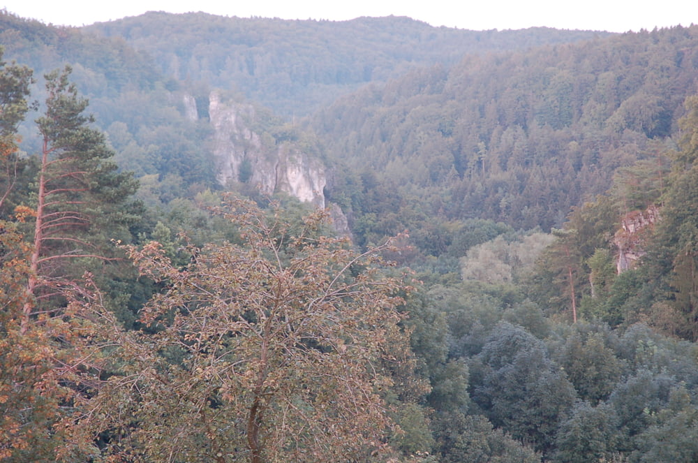 Oberes Trubachtal