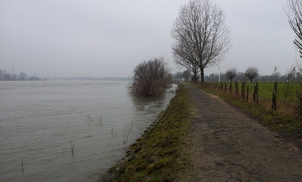 Spaziergang am Rhein in Duisburg-Baerl