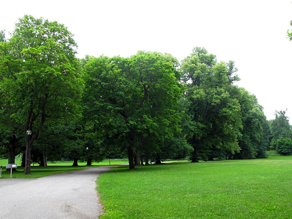Mountainbiketour bei Stockholm 2