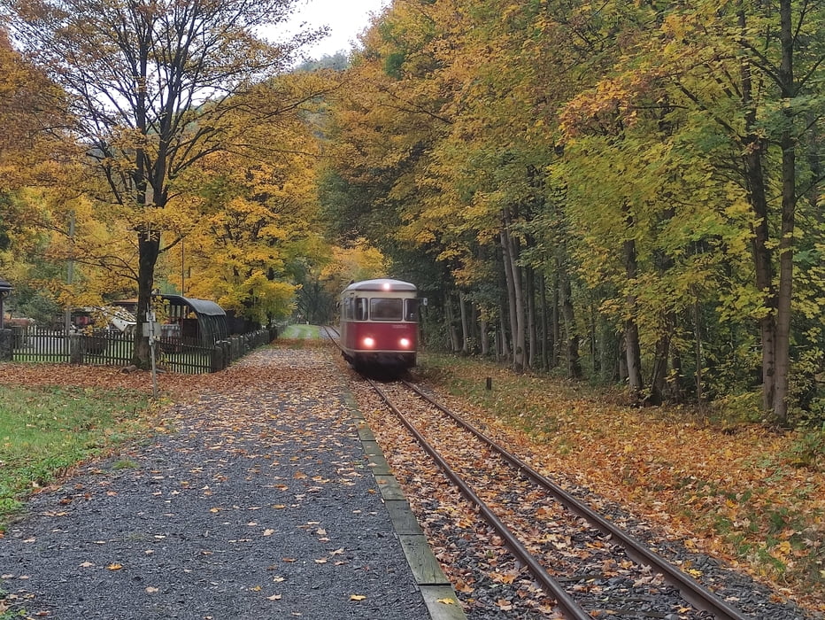 Dampflok Steig Teil 01 mit Stierbergsteich