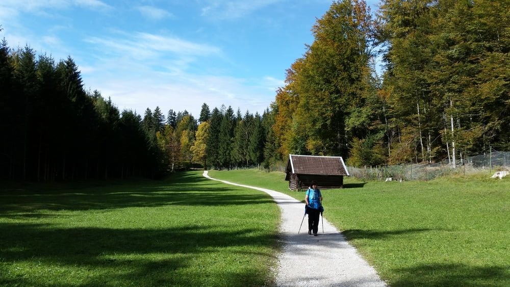 Zugspitzland: Über den Gschwandtnerbauer hiauf zum Wank und über die Esterbergalm wieder hinab