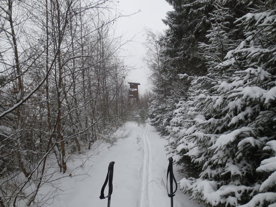 Skiwanderung in den Haubergen