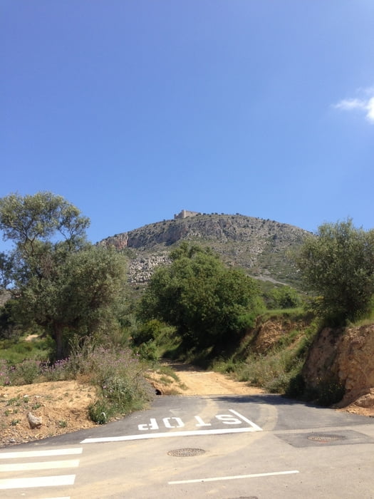 Castell de Montgrí