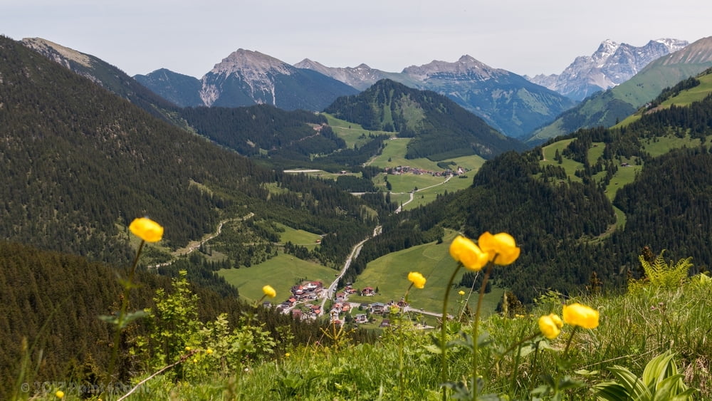 Lechtaler Alpen: Ehenbichler Alm (via Rotbachstausee)