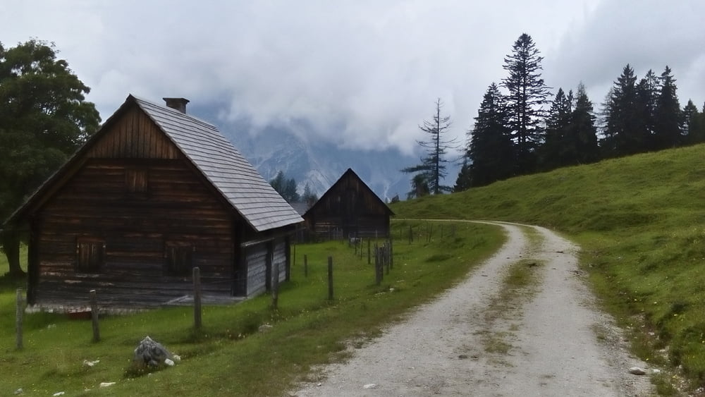 Hochscheibenalm 160809 (16maschek16)