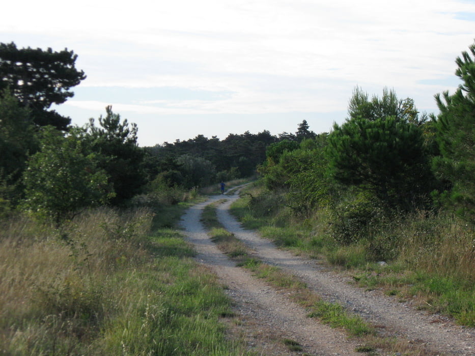 Kanegra Laufrunde