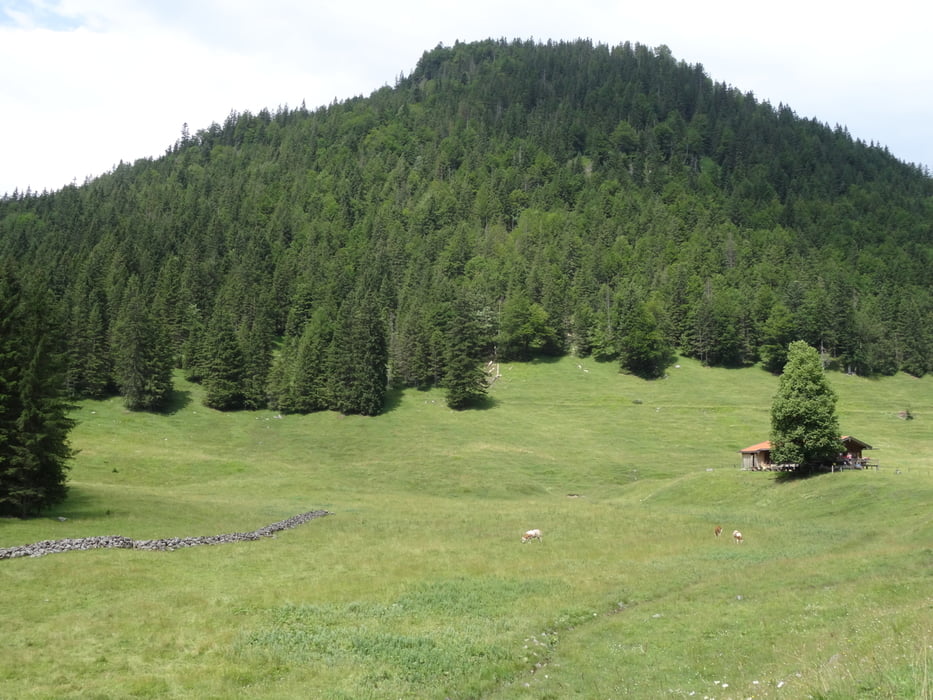 Wallberg - Kühzagl - Schliersee(trail) - Spitzingsee - Valepp - EJ-Klause - Bayralm - Langenautrail - Wallberg