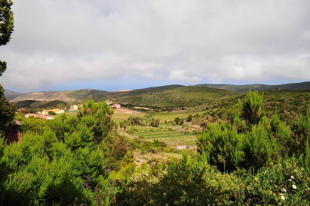 Wanderung Gomera Las Hayas