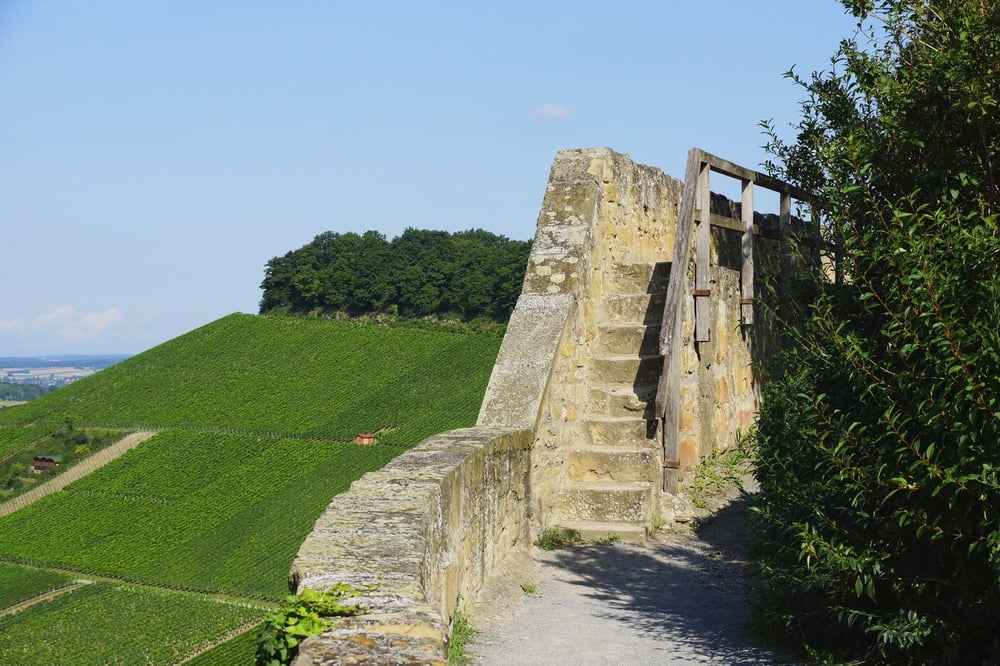 Burgruine Weibertreu