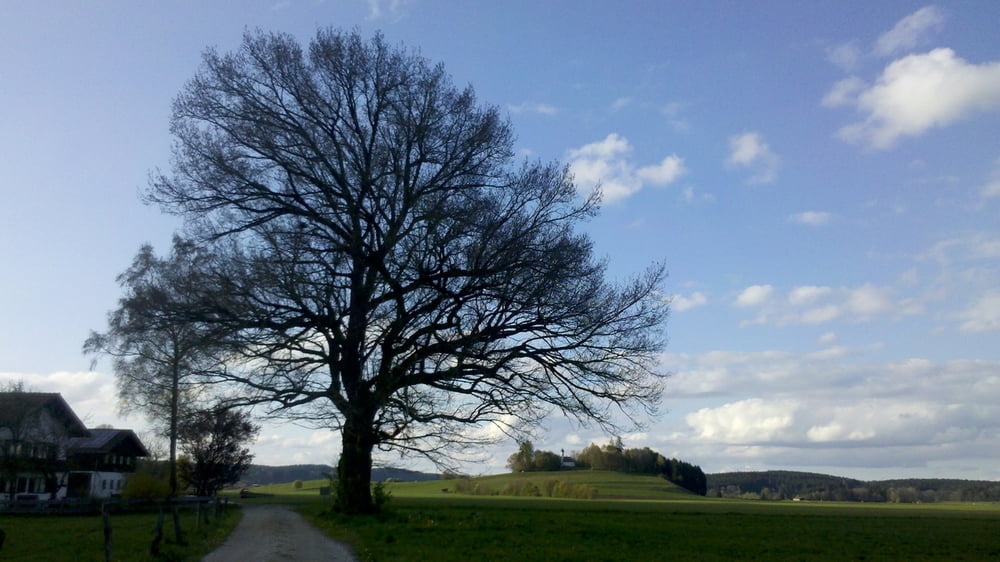 Straßlach-Pupplinger Au-Wolfratshausen-Geretsried-Deiniger Weiher-Deisenhofen