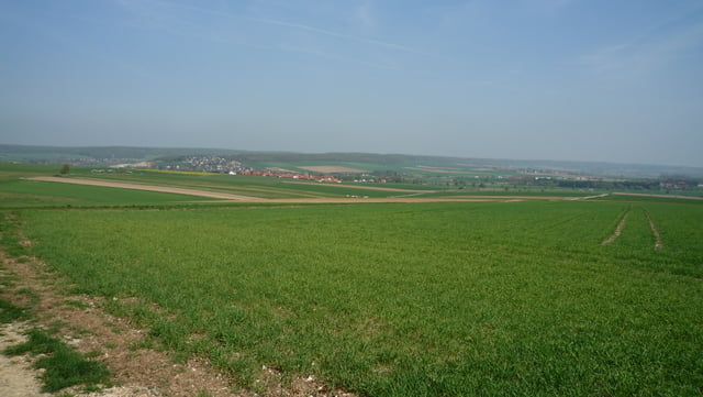 Hildesheim, Vorholz, Söhlder Wald, Hainberg