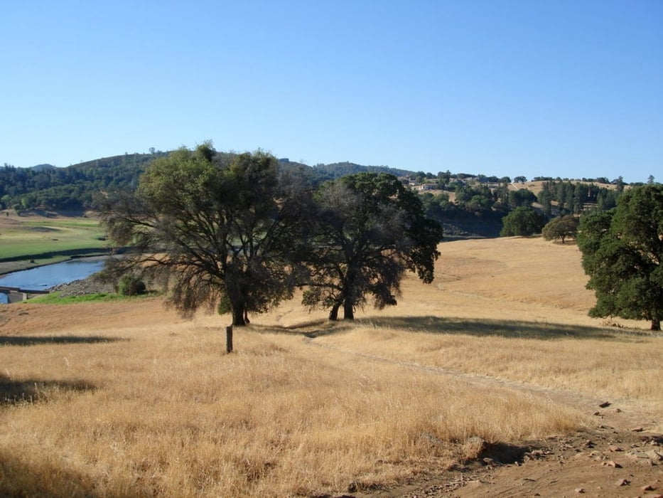 Salmon Falls